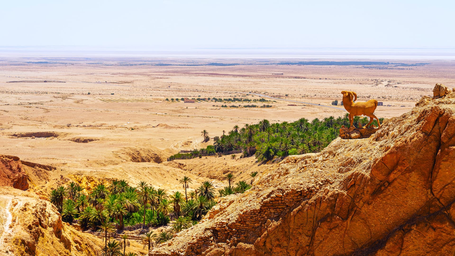 Sahara e oasi